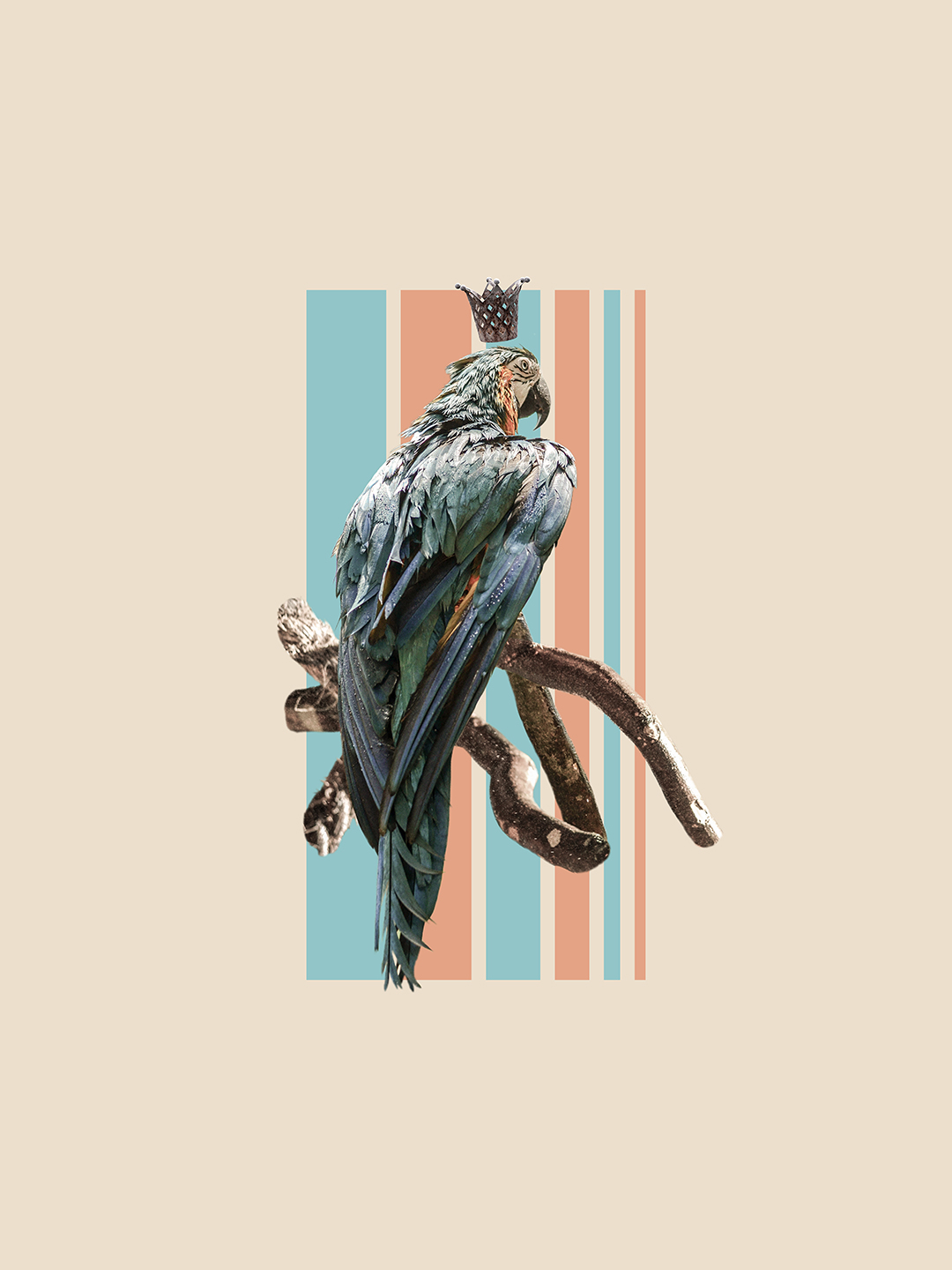 Surreal digital collage titled Foreign Gaze, Slightly Dazed, featuring a parrot with a crown sitting on a branch by Mushroomalice MUMA